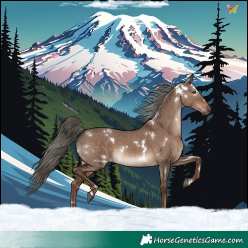 Horse Color:White Spotted Liver Red Dun Mushroom Rabicano Brindle 