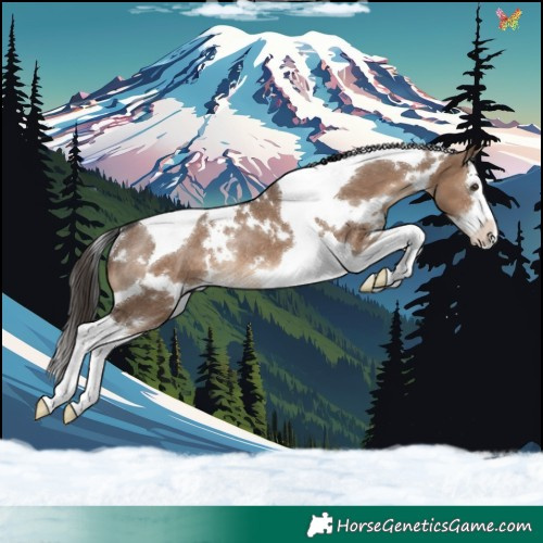 Horse Color:White Spotted Liver Red Dun Splash Tobiano Rabicano 