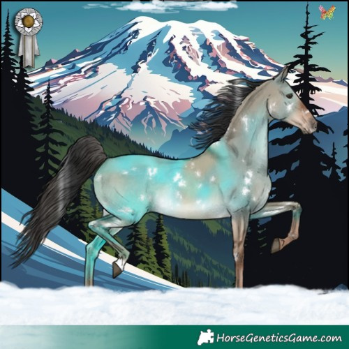Horse Color:White Spotted Liver Red Dun Rabicano