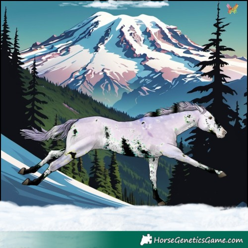 Horse Color:Watercolor White Spotted Chocolate Palomino Onyx Sabino Rabicano 