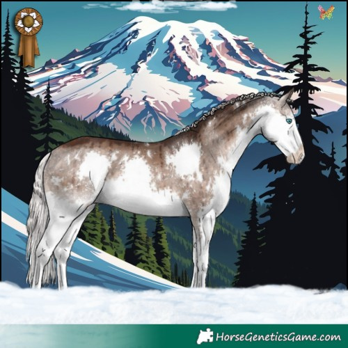 Horse Color:White Spotted Silver Brown Dun Splash Rabicano Brindle 
