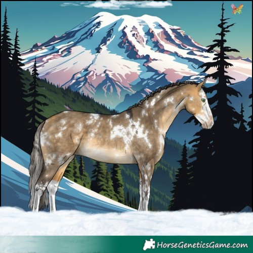 Horse Color:White Spotted Buckskin Dun Splash Rabicano