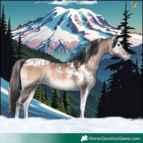 Horse Color:Plaid  White Spotted Brown Onyx Tobiano Rabicano 