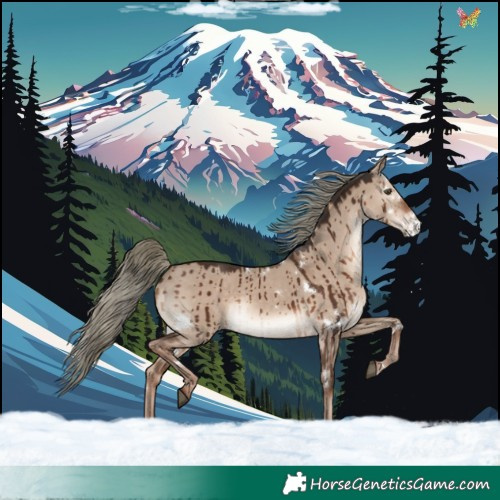 Horse Color:White Spotted Liver Red Dun Mushroom Rabicano Brindle