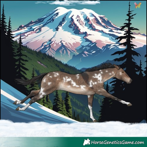 Horse Color:White Spotted Brown Dun Tobiano Rabicano
