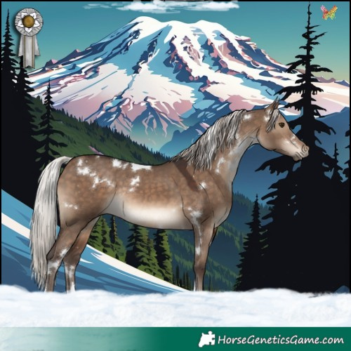 Horse Color:White Spotted Silver Brown Dun Tobiano Rabicano