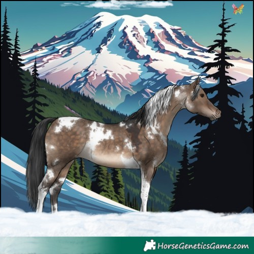 Horse Color:White Spotted Brown Dun Tobiano Rabicano 