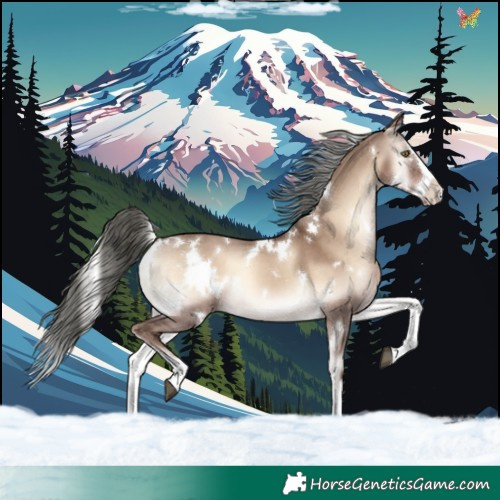 Horse Color:White Spotted Liver Red Dun Onyx Mushroom Splash Rabicano