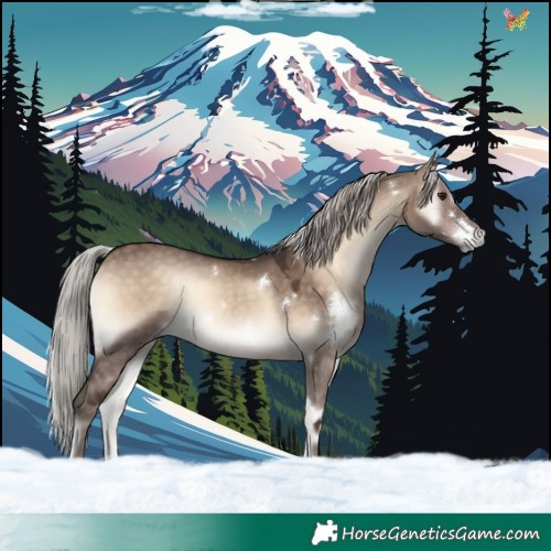 Horse Color:White Spotted Silver Brown Onyx Mushroom Rabicano 
