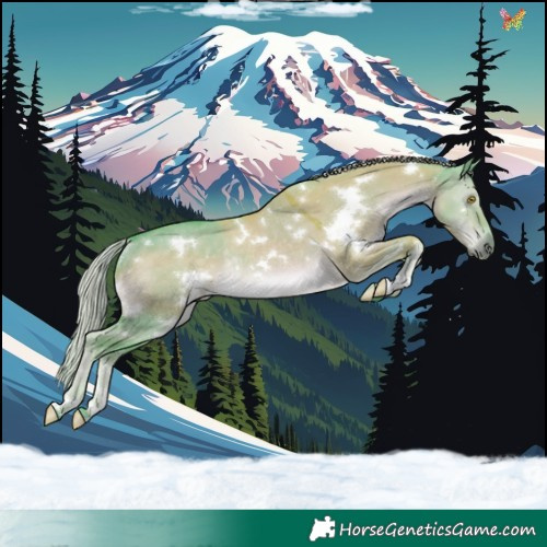 Horse Color:Watercolor White Spotted Chocolate Palomino Dun Rabicano