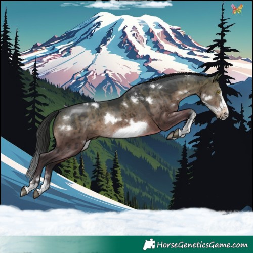 Horse Color:White Spotted Brown Dun Sabino Frame Rabicano Brindle