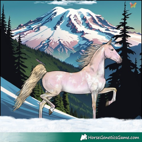 Horse Color:Watercolor White Spotted Chocolate Palomino Dun Rabicano Brindle