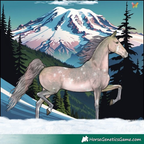 Horse Color:Watercolor White Spotted Buckskin Dun Rabicano