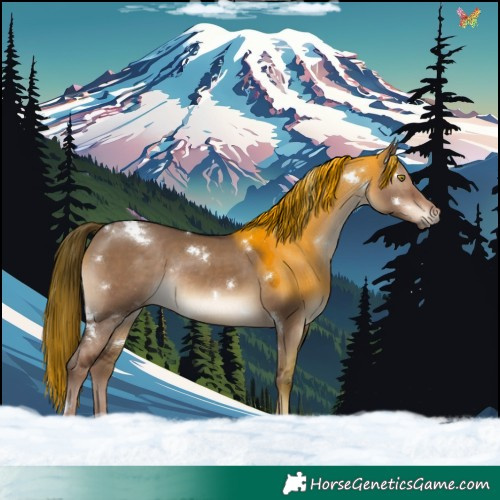 Horse Color:White Spotted Liver Red Dun Rabicano