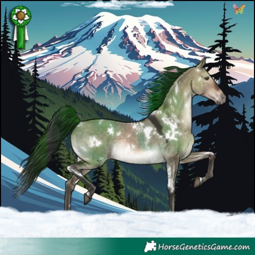 Horse Color:White Spotted Brown Dun Rabicano