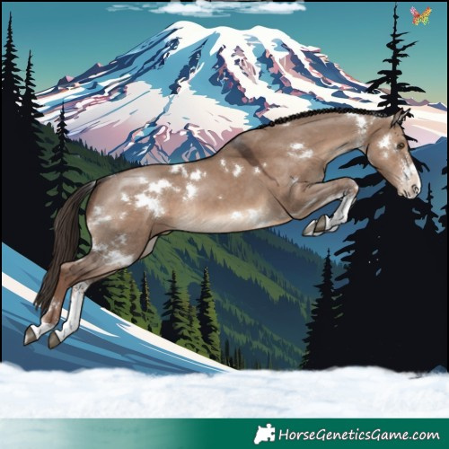 Horse Color:White Spotted Liver Red Dun Sabino Rabicano 