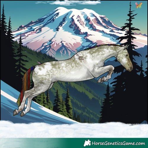 Horse Color:Painted White Spotted Liver Red Dun Ice Rabicano