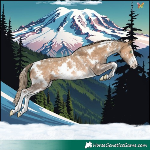 Horse Color:White Spotted Chocolate Palomino Dun Sabino Rabicano 