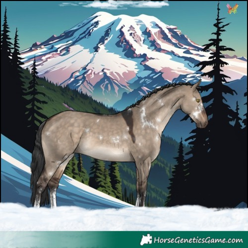 Horse Color:White Spotted Brown Dun Sabino Rabicano