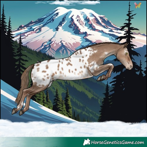 Horse Color:White Spotted Liver Red Dun Appaloosa Rabicano 