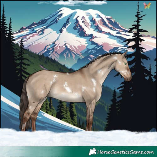 Horse Color:White Spotted Liver Red Dun Rabicano 
