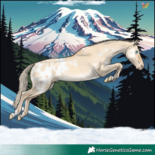 Horse Color:White Spotted Gold Cream Champagne Dun Appaloosa Rabicano