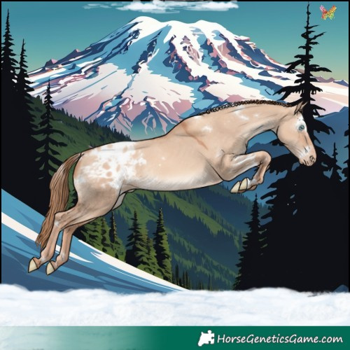 Horse Color:White Spotted Gold Champagne Dun Appaloosa Rabicano 