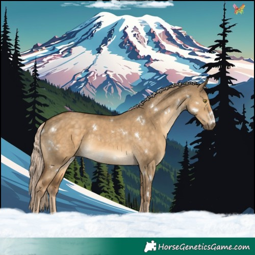 Horse Color:White Spotted Chocolate Palomino Dun Rabicano