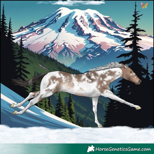 Horse Color:White Spotted Bay Dun Mushroom Tobiano Rabicano