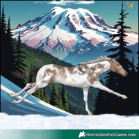 Horse Color:White Spotted Bay Dun Mushroom Tobiano Rabicano
