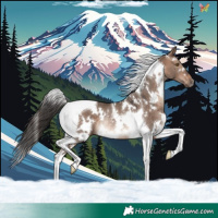 Horse Color:White Spotted Bay Dun Mushroom Tobiano Rabicano 