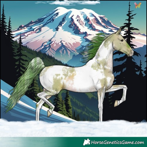 Horse Color:Watercolor White Spotted Brown Dun Tobiano 