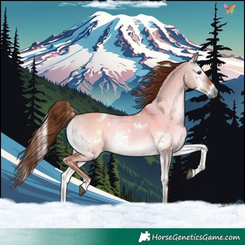Horse Color:White Spotted Red Dun Onyx 