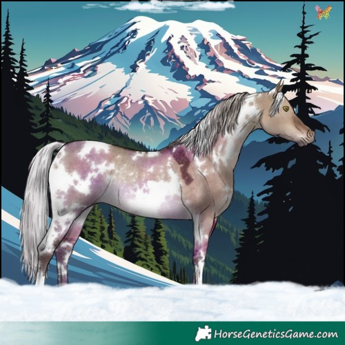 Horse Color:White Spotted Silver Brown Dun Rabicano