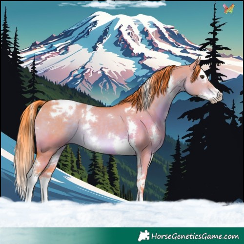 Horse Color:Watercolor White Spotted Liver Red Dun Splash Tobiano Rabicano 