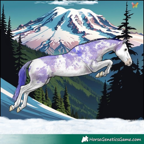 Horse Color:Watercolor White Spotted Brown Dun Sabino Splash 