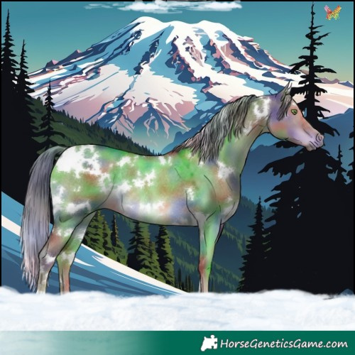 Horse Color:Nacre White Spotted Liver Red Dun Mushroom Rabicano