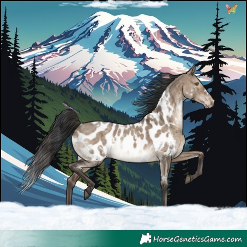 Horse Color:White Spotted Brown Dun Appaloosa Rabicano Brindle 