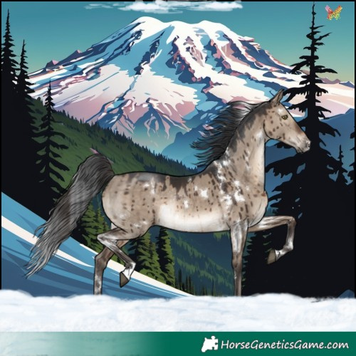 Horse Color:White Spotted Brown Dun Rabicano Brindle 