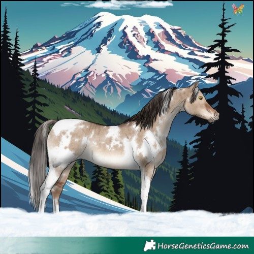 Horse Color:White Spotted Liver Red Dun Tobiano Rabicano Brindle