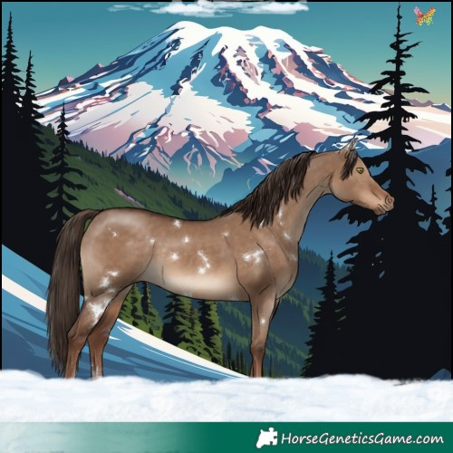 Horse Color:White Spotted Liver Red Dun Rabicano 
