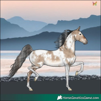 Horse Color:White Spotted Liver Red Dun Tobiano Brindle 