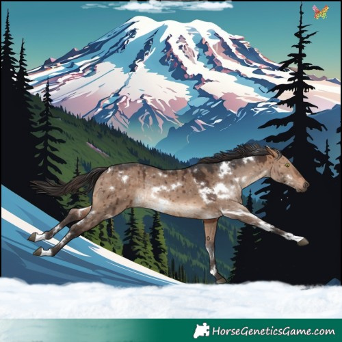 Horse Color:White Spotted Brown Dun Rabicano Brindle 