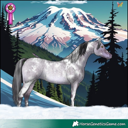 Horse Color:White Spotted Brown Roan Dun Rabicano Brindle