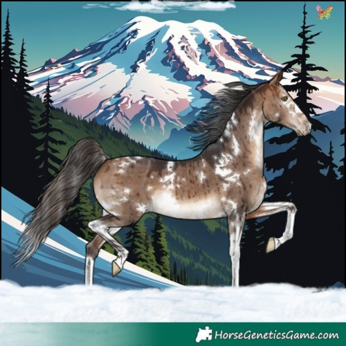 Horse Color:White Spotted Bay Dun Splash Brindle