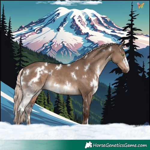 Horse Color:White Spotted Liver Red Dun Mushroom Rabicano 