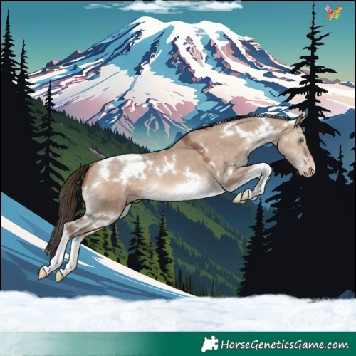 Horse Color:White Spotted Sable Champagne Dun Tobiano 