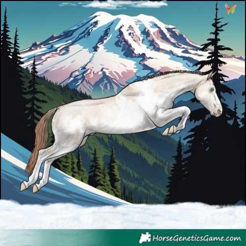 Horse Color:White Spotted Gold Champagne Dun Sabino Rabicano 