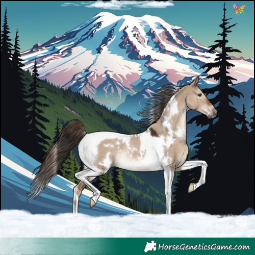 Horse Color:White Spotted Liver Red Dun Tobiano Rabicano