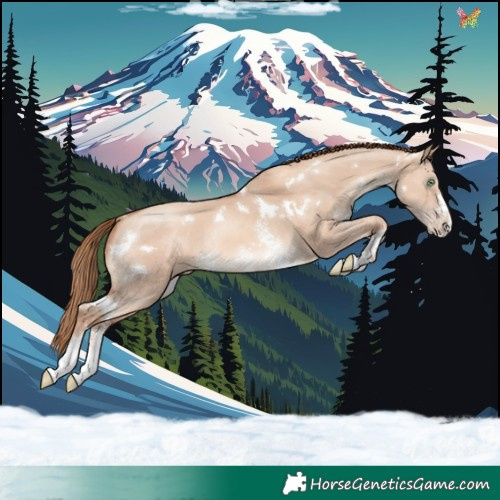 Horse Color:White Spotted Gold Champagne Dun Sabino Rabicano